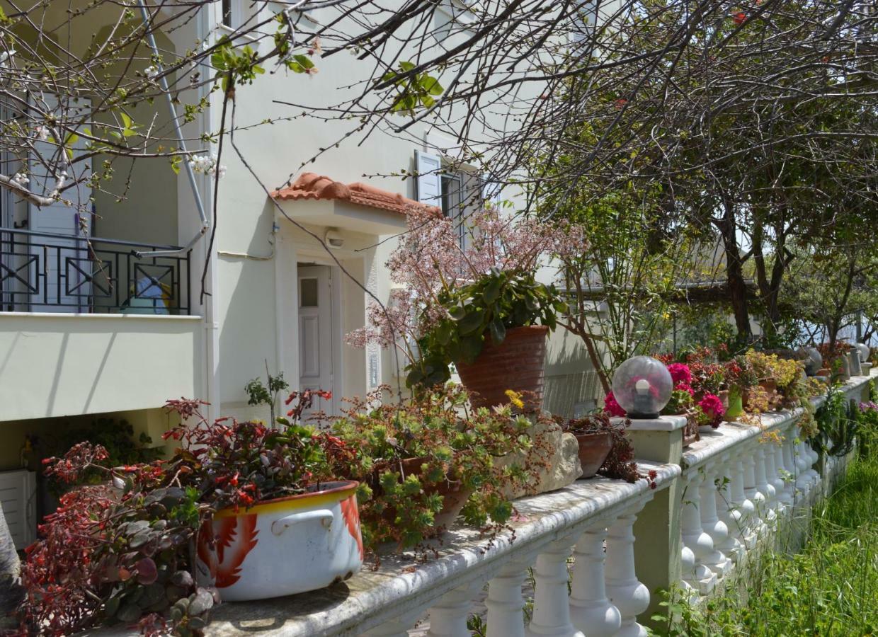Araucaria Home Lixouri Exterior foto
